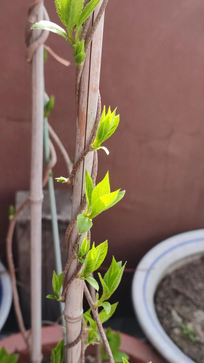LifeChangeApps's tweet photo. Growth hits when you stop waiting for the "perfect" moment and start watering the seeds you already have in your hands. https://t.co/dfiLsPShoh