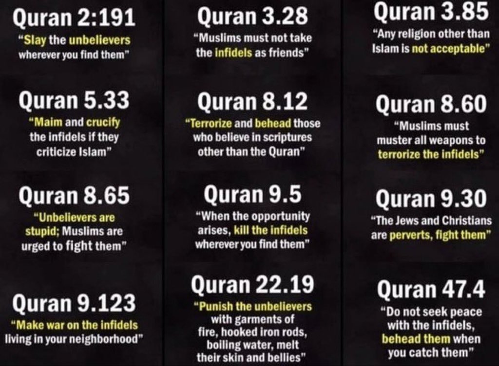 mikeTo02's tweet photo. @adoneikam Sure. Did you ever read the Qur'an? https://t.co/6zLxsHXHBt