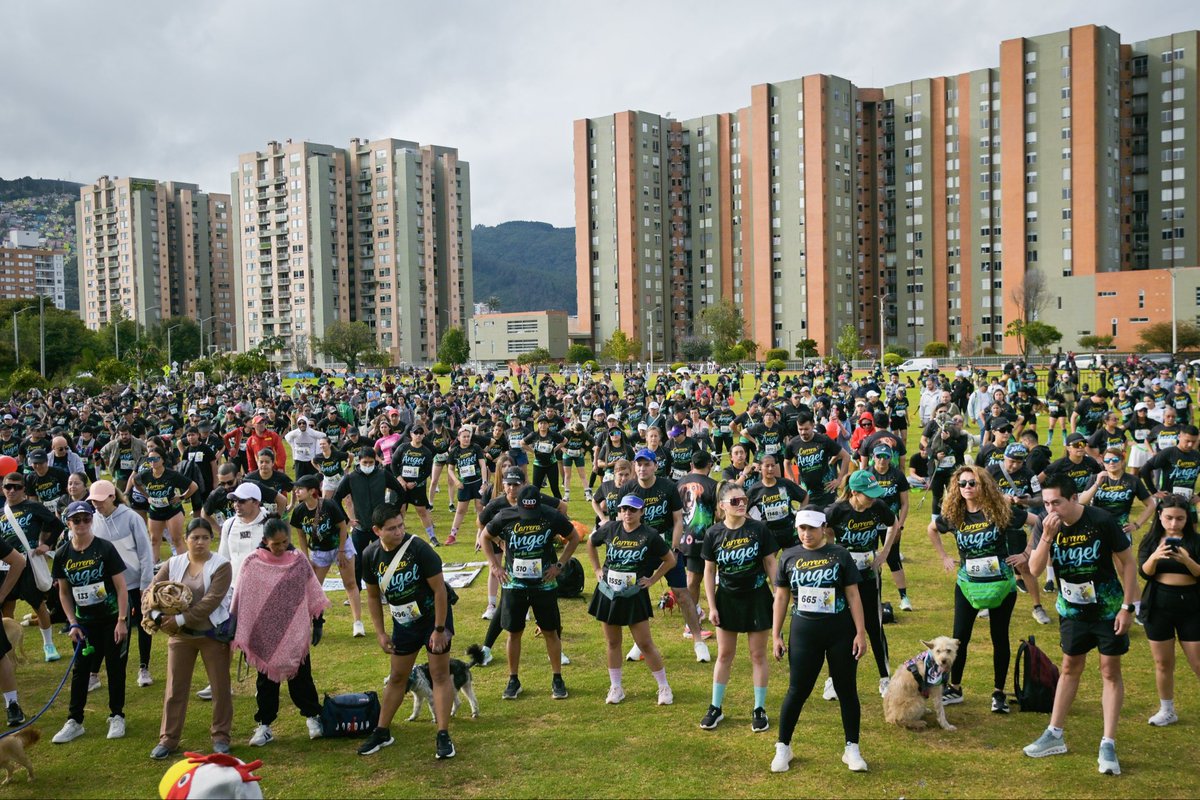 SaavedraMDavid's tweet photo. 🐕🏃‍♀️ 🏃🏾‍♂️❤️🐾 Hoy en Bogotá ganó el amor! 

Miles de huellas y miles de pasos se dieron en la Carrera Ángel por los Animales, demostrando que una ciudad mide su grandeza por la forma en la que trata a sus animales.

Corrimos por esos peludos 🐶🐈 que nos regalan amor y lealtad todos los días. Lo mínimo que podemos devolverles es respeto, cuidado y protección. ❤️🐾

Gracias a @VivianAnNieto, @AsociacionMi, @Dogsandhugs_, @F_DejandoHuella por invitarnos a participar de esta noble causa que todos los días realizan con mucho sacrificio y enorme amor por su trabajo animalista. Son un ejemplo de nuestra sociedad!