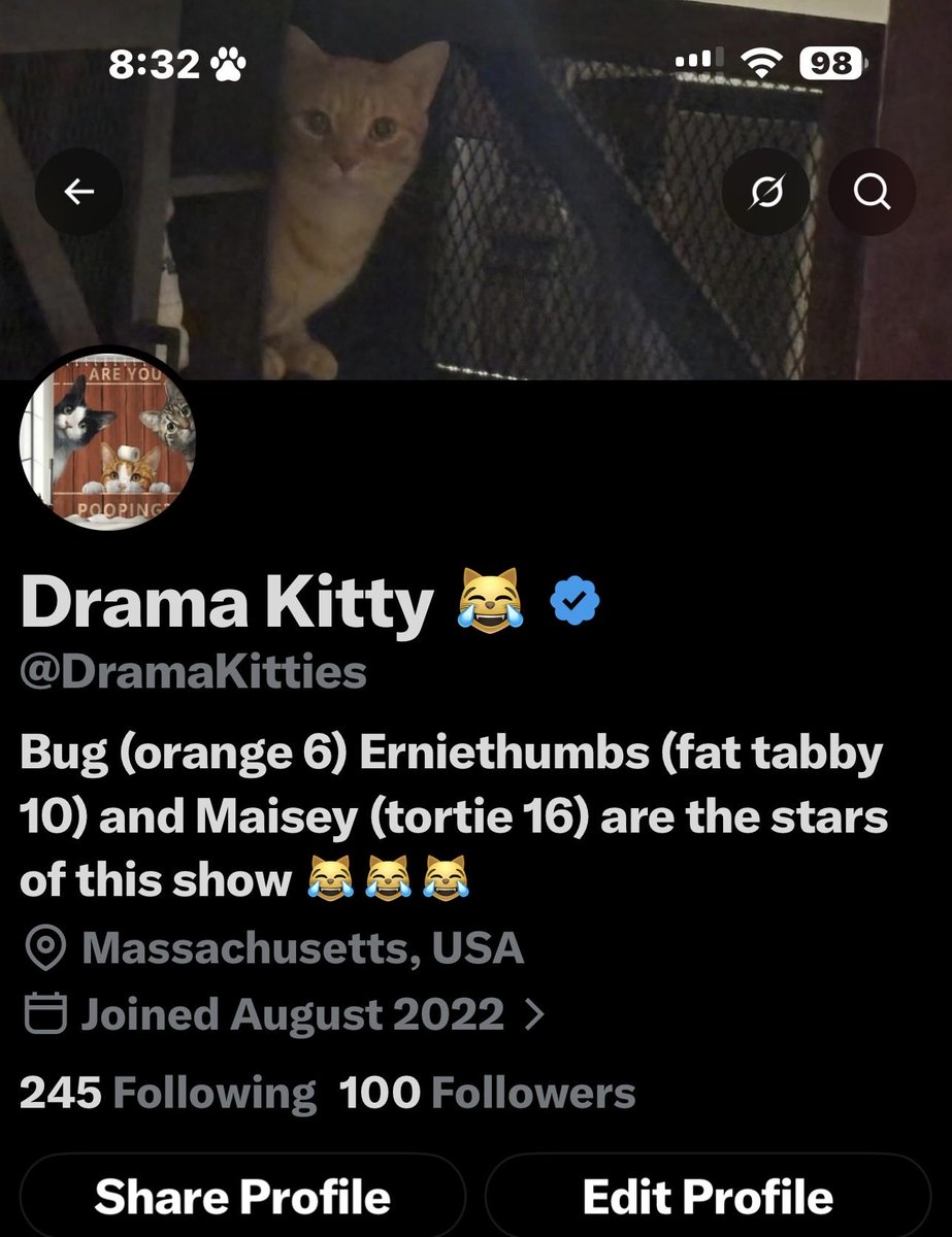 DramaKitties's tweet photo. 100 FOLLOWERS! It may go back down but this is when I first got to 100. 
I would like to take this time to thank the ppl who got me here! 
First my mom and dad. I wouldn’t be here on X without them. Next I would like to thank Erniethumbs  for pushing me to be the best cat mom I can be no matter what life throws at me! I would also like to thank his thumbs for making it possible to post more cat related content on social media! 
Next I would like to thank Bug for many sleepless nights as he runs up the bedroom door to sing the song of his people’s.
Next I would like to thank Maisey for being my cranky old lady and being able to hang on by a thread at 16 yrs old 😹
Next I would like to thank myself of course. You ppl have no idea how hard this is! The time, money, energy, the hrs spent to just pick up my phone and hit the record button.  It’s not as easy as you think. Not many could walk in my shoes 👠 
And certainly last, YOU THE PPL!! Without you I couldn’t have made this achievement possible! 
Thank you everyone!!! 
😹💯
