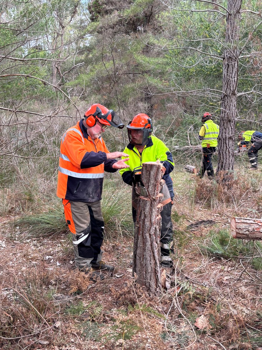 GHCMA's tweet photo. As part of the Victorian Government's Drought Employment Program the Glenelg Hopkins CMA has been providing work and training opportunities to locals affected by the dry spell over the past couple of years.
Recently, that included training in chainsaw operation and tree falling. https://t.co/Mszpy7kxZw