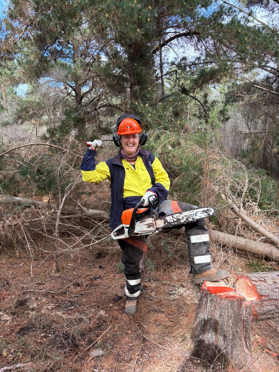 GHCMA's tweet photo. As part of the Victorian Government's Drought Employment Program the Glenelg Hopkins CMA has been providing work and training opportunities to locals affected by the dry spell over the past couple of years.
Recently, that included training in chainsaw operation and tree falling. https://t.co/Mszpy7kxZw