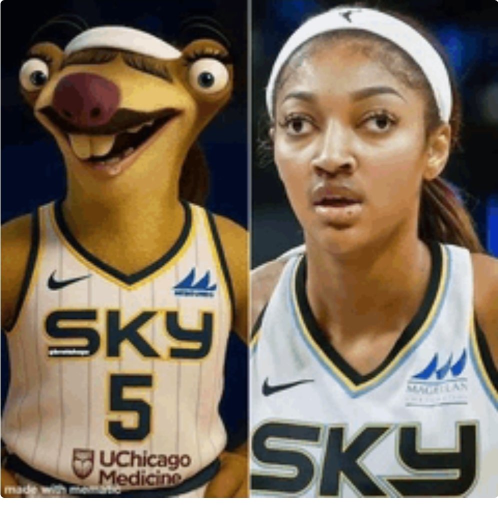 TigerSharkLover's tweet photo. @BrickCenter_ Somebody get her some glasses already!! https://t.co/rZR0hLfUwA