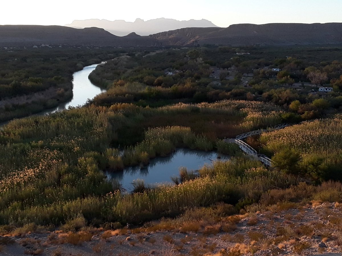 LaikenJordahl's tweet photo. I'm sharing this text and photos from a facebook post by my old boss at Big Bend National Park, now-retired biologist Raymond Skiles:

Customs and Border Protection plans to destroy west Texas’ and Big Bend National Park’s only beaver pond.

According to the CBP "smart wall" map, they will bulldoze, then build a 100’-wide road and “patrol zone” through the only beaver dam, pond, and beaver lodge (beaver home) in west Texas.

The beaver family and a host of pond-dependent species will be scraped and drained away as well. As a BBNP biologist for 30 years, and native west Texan, I and other Texas biologists know of no other like it in Texas west of the Pecos River area. That's over 30,000 square miles.

The Rio Grande Village beaver pond (map) likely hosts the park’s largest number and type of wildlife at any single location. Adjacent to a campground, visitor access is easy.  A pedestrian trail is dedicated to beaver pond treasures.

The nature trail’s elevated boardwalk is the park’s most popular destination for bird watchers hoping to see ducks, herons, flycatchers, warblers, wrens and grebes.

It is the park’s best place to see (and often hear) frogs and toads. Turtles, fish and even reptiles are abundant. Mammals, including javelina, foxes, bobcats, and coyotes cautiously approach under cover of pondside vegetation and crepuscular quiet.
The pond is habitat for Big Bend sliders, an aquatic turtle on the Texas list of threatened species; and Big Bend mosquitofish - they live nowhere else in the wild.

It’s not easy to be a beaver in the desert. Other beavers live in the Rio Grande, but the river is too large and flood-prone to dam, so they live along gentle stretches of river and burrow their homes into the steep, silty mud banks.

The Rio Grande Village beaver pond is fed by a warm spring that emerges onto a broad, gentle slope well back from the river. That creates a small stream with just enough room for a beaver dam and pond before it spills into the river channel.

There are other springs in the park and region, but they're in rock channels, or are subject to scouring floods, or sometimes dry out, or emerge too close to the river to allow space for a pond.

At Rio Grande Village, the beaver have not had an easy time. Even the National Park Service once trapped and moved them, and I suspect killed a few, to prevent them from chewing on planted trees or flooding a few campsites. That came to an end in 1988, when park managers decided to give them some space; live-and let-live.

That decision created the parks’ best wildlife habitat, and for decades the beaver pond has been among the park’s most important visitor experiences.

The beaver will very soon face its most powerful and destructive threat ever. There are laws that say, “think about it, maybe this is too important to destroy, maybe there are alternatives, maybe use a nearby existing road that meets all the same border security goals.”
But CBP chose to ignore (waive) all those. And ignore Americans who love nature and their parks.

The bulldozers could arrive soon, even this week.
In case you and your children never get to see Big Bend’s beaver pond, here are a few photos - in memorium.