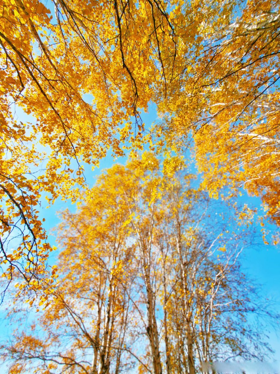 QuistFreya's tweet photo. Life’s detours aren’t mistakes—they’re the unmarked paths that teach you to see farther and care deeper. https://t.co/xkNTg4Q8ZM