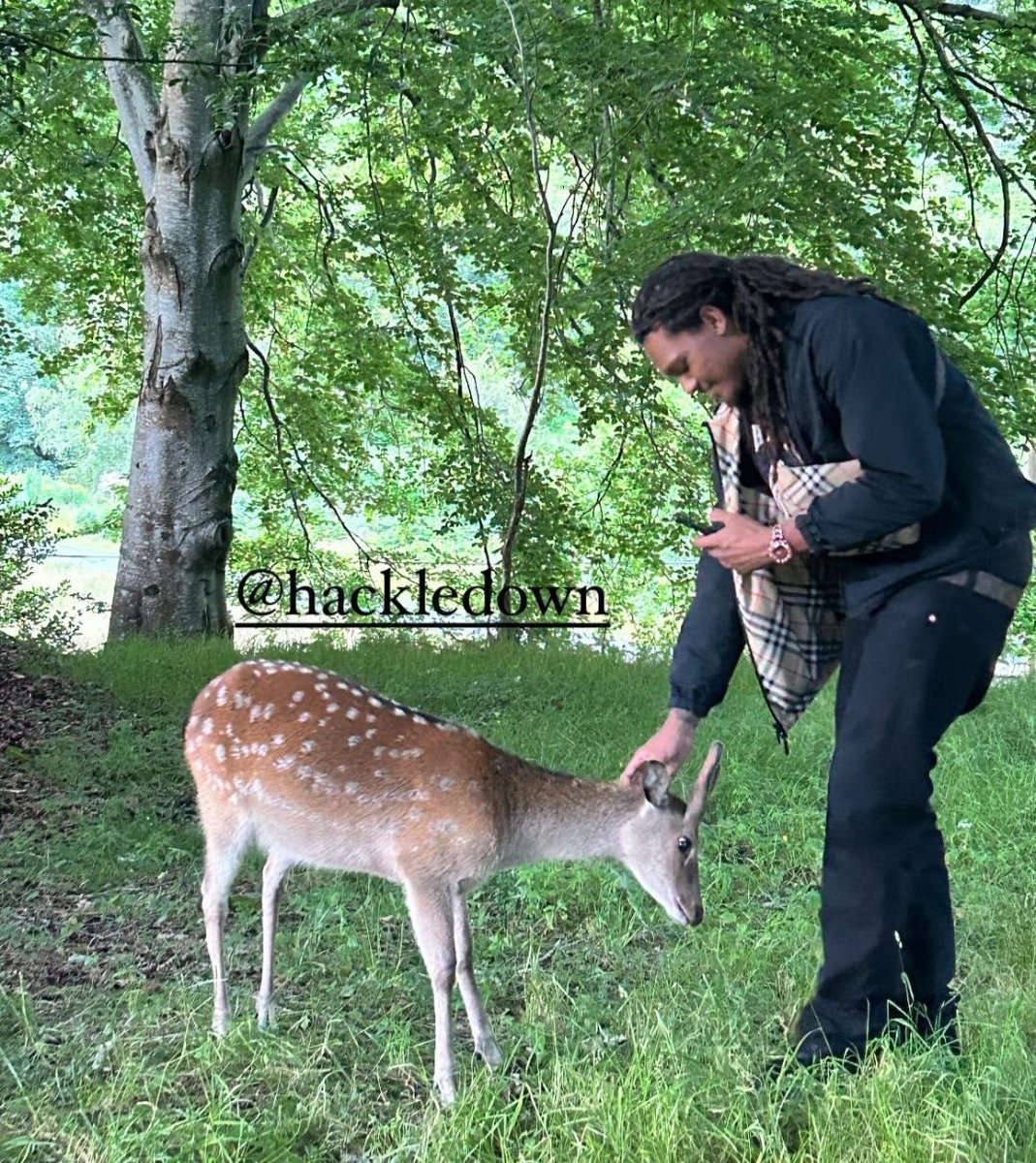 casketclty's tweet photo. day 23, hdoe with sika deer 

hdoe so cutie https://t.co/x01utfPKon