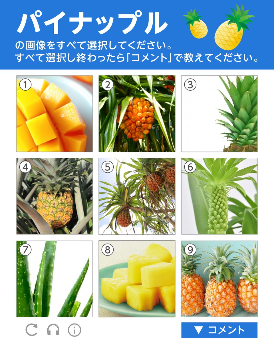 AEON_JAPAN's tweet photo. 🍍🍍🍍🍍🍍🍍🍍
8月17日は #パイナップルの日
🍍🍍🍍🍍🍍🍍🍍

パイナップルをすべて選んでください✅
イオンのパイナップルも紛れてる⁈
当ててみてね🤤💬

https://t.co/ha5UmYI9fH https://t.co/urX93oEr97
