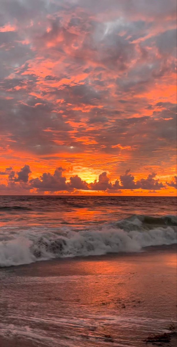 aestheticspost_ tweet picture