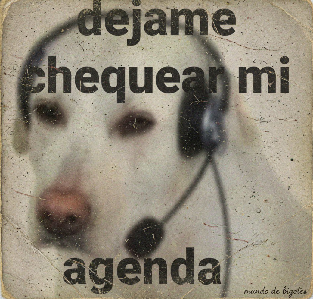 MundoDeBigotes's tweet photo. https://t.co/36LaXTyJ1y