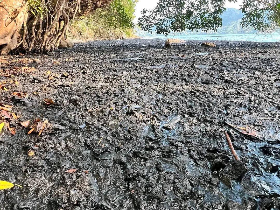 NaraSenyap's tweet photo. Dampak Gempa Tsunami NTT,

Fenomena Alam TA'I SANO Muncul di Permukaan Danau Sano Nggoang, Manggarai Barat,

Permukaan danau dipenuhi material hitam yg oleh Warga Mata Wae dikenal sbg TA'I SANO, berbau menyengat sprti belerang. https://t.co/mNcK5I6xrP