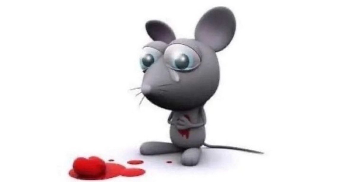 Ang3ll_St4r's tweet photo. @redriotoo A qué sabe, yo nunca comí kiwi https://t.co/r1YSfuZN3b