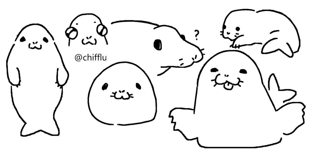 chifflu's tweet photo. today we have seal https://t.co/PpVDPjsnkA