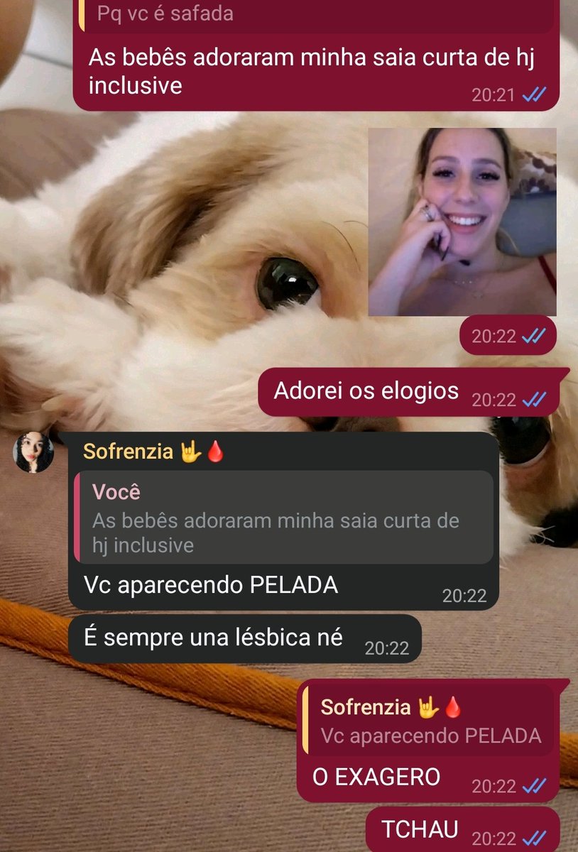 Zoidetinga_'s tweet photo. @_mayyday não deixando ninguém ser feliz https://t.co/nERFkRS2Uk