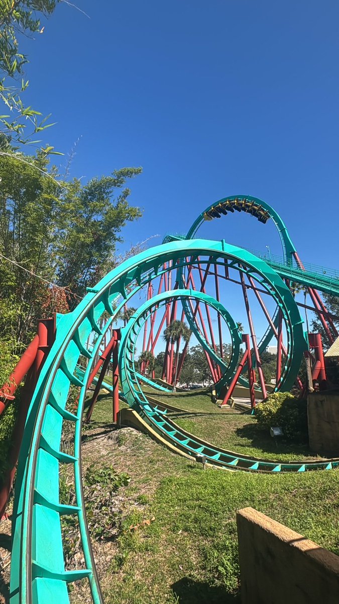 LionBoyTy's tweet photo. Almost forgot about #NationalRollerCoasterDay https://t.co/fTADv7tej1