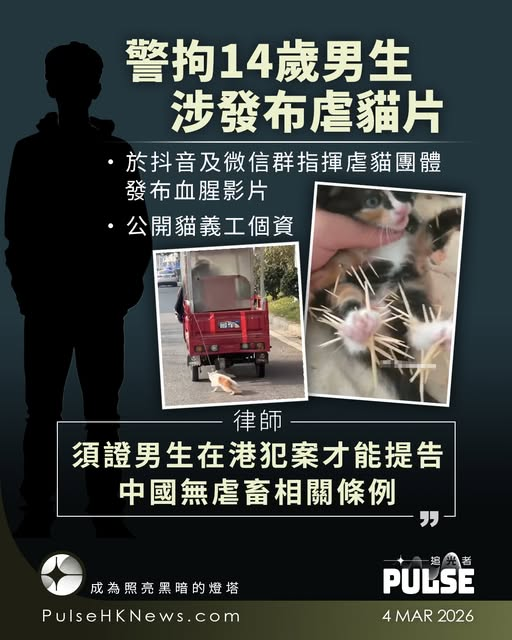 SydneyDaddy1's tweet photo. 香港又有14岁中学生虐杀动物被捕，3月份香港刚抓了一个遥控指挥中国虐猫团体的中学生，也是14岁

警方虽然保护其隐私，但这两名中学生大概率都是内地背景，前者被捕时只会说普通话不会粤语，后者频繁往来中港两地

绝大多数穆斯林不是恐怖分子，但绝大多数恐怖分子是穆斯林 https://t.co/MSewLWLZDm
