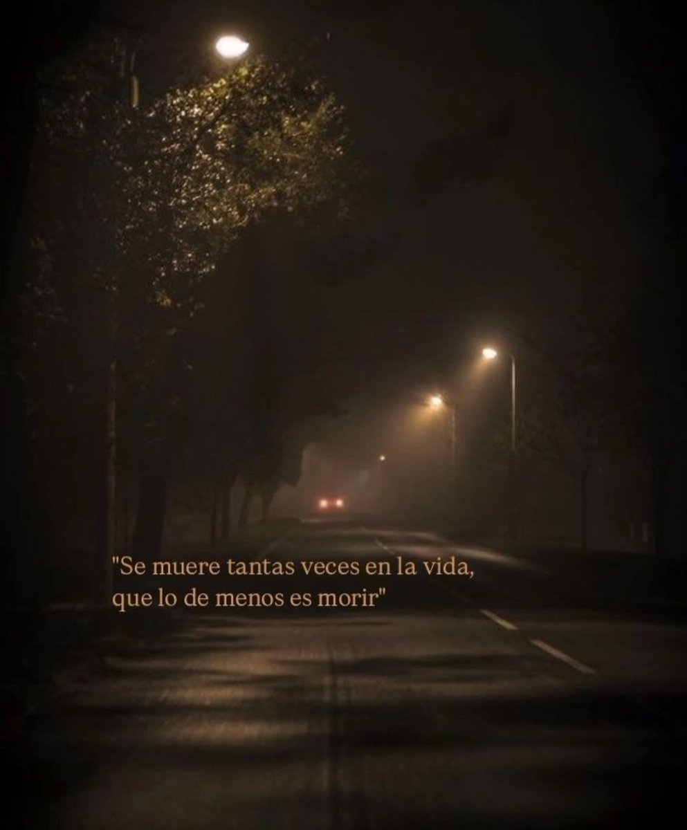 El_abuacatit0's tweet photo. 🖤 https://t.co/RX4T18f3oS