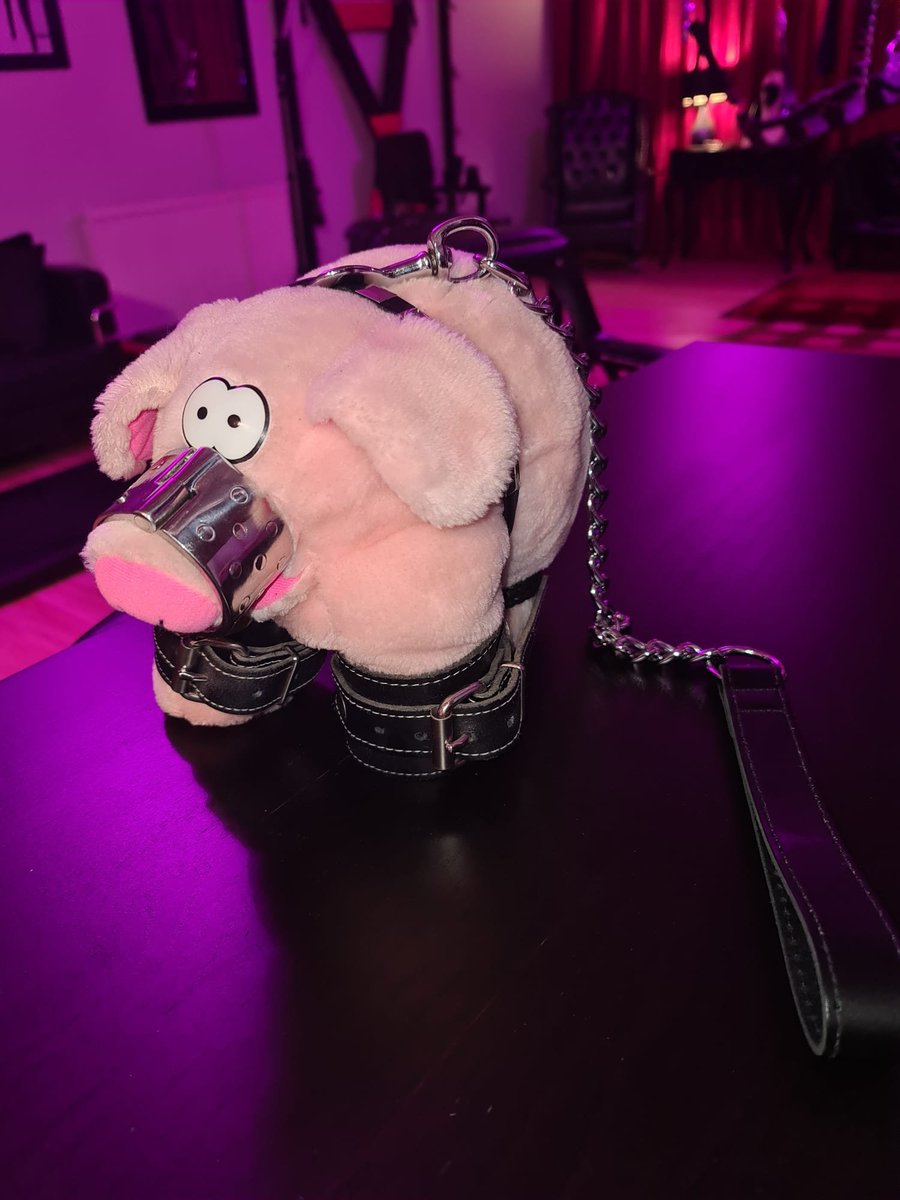 Alexandrawsg2c's tweet photo. Cute on the outside. Under my control. 🖤⛓️ https://t.co/891rnbRkDN