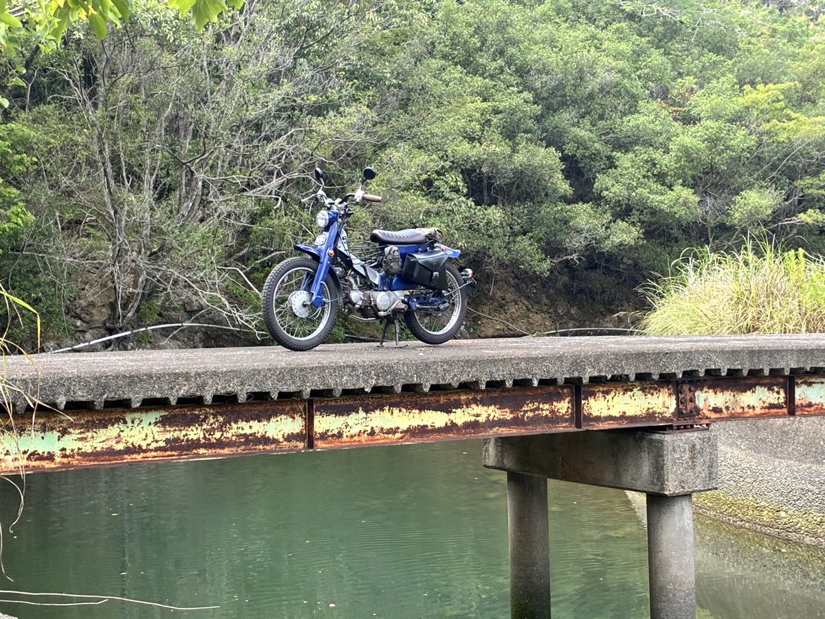 c_x2_l's tweet photo. 鳥羽で遊んできた♪
橋の下はボラの稚魚だらけでした💧 https://t.co/Yh83px6nWH