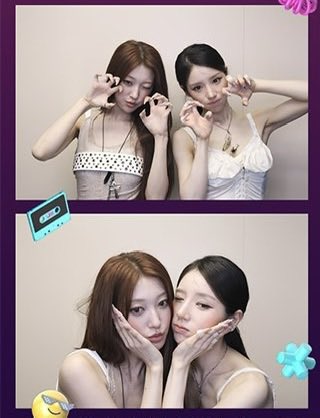 Heerabbit1019's tweet photo. 바람즈 너무 귀여워💜🩷💜🩷 https://t.co/66KbB9LAWB