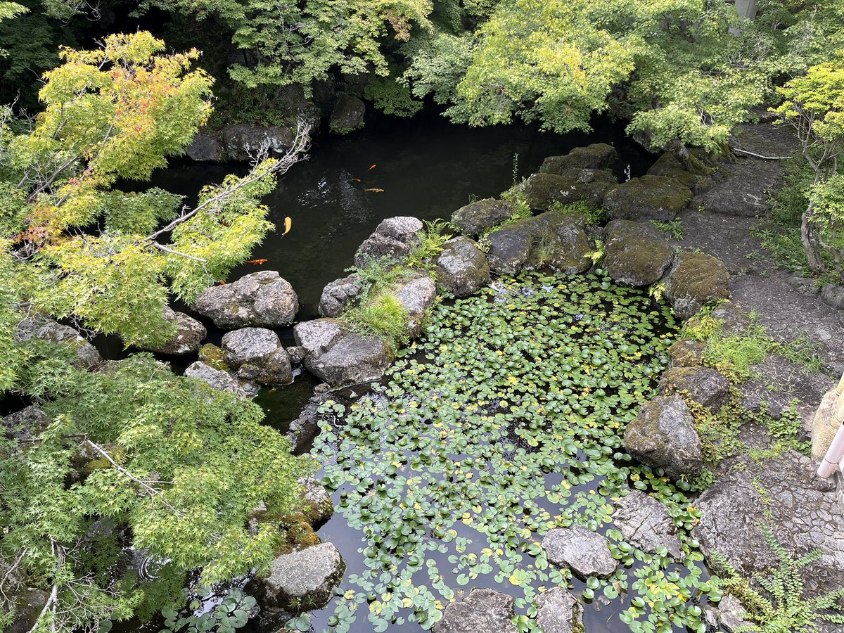 takuya7487's tweet photo. #休日
#dayoff
#京都旅
#大山崎町
#アサヒグループ大山崎山荘美術館

庭園の景色。 https://t.co/p4yFg7PPIq
