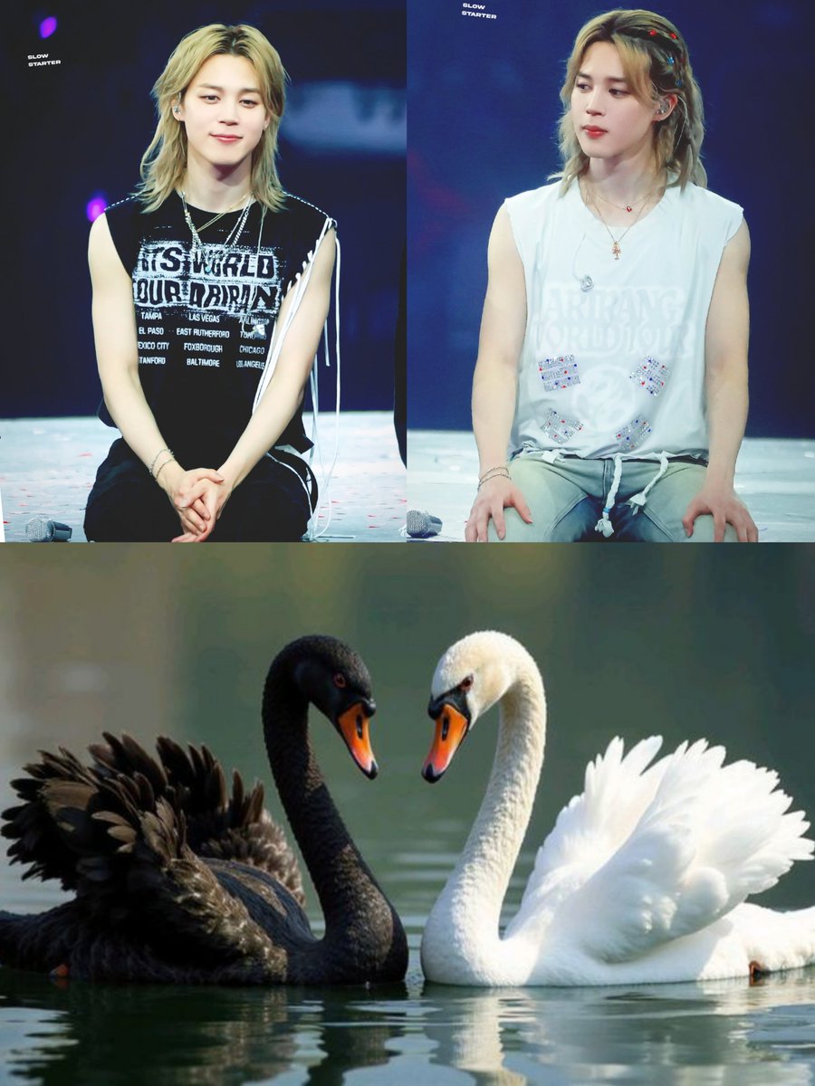jimin_lil_devil's tweet photo. Black 🖤 swan 🦢.          White 🤍 swan 🦢 https://t.co/ZmHWLXLWp0