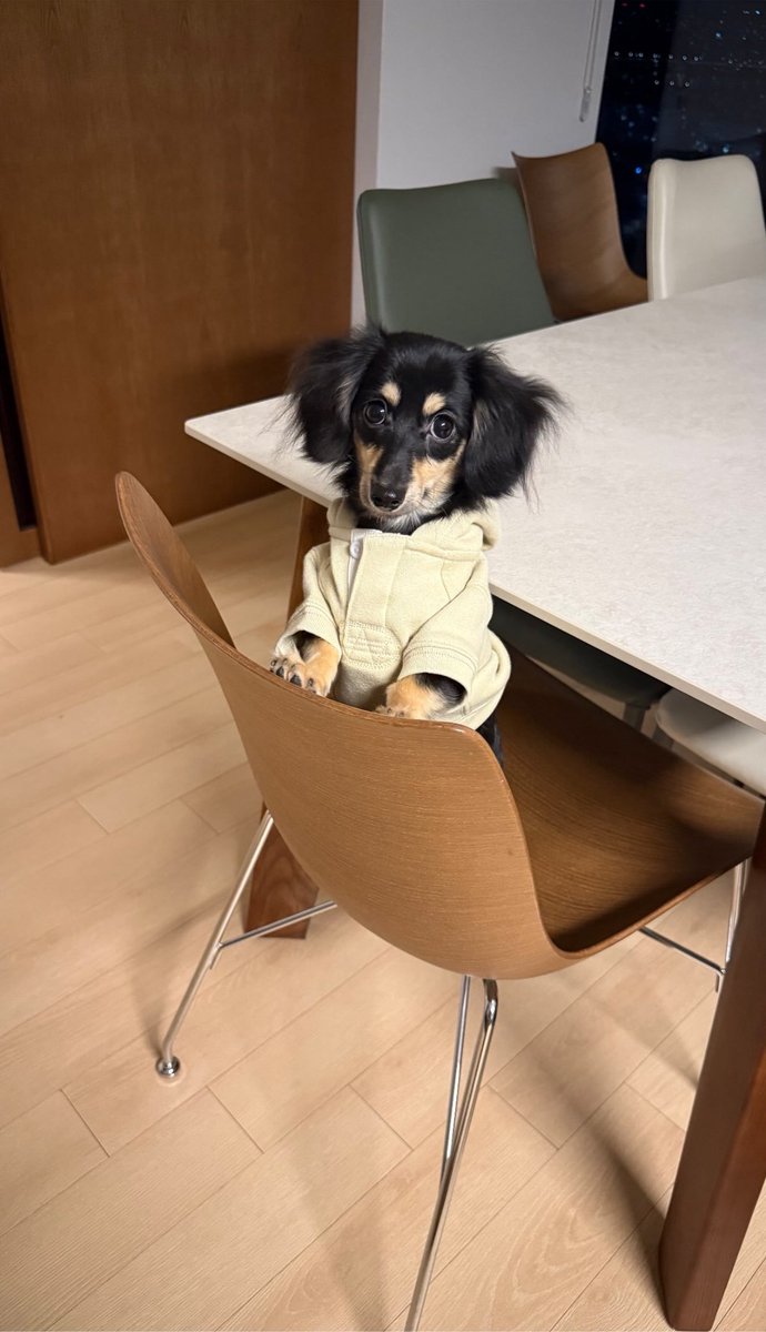 foraespa1117's tweet photo. Love that all aespa members are now in their dog mum era 💫🐶 https://t.co/9jEetNaIjo