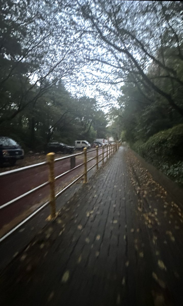 cexxovye's tweet photo. 언제까지 올 생각인지…. https://t.co/oga2io6Edv