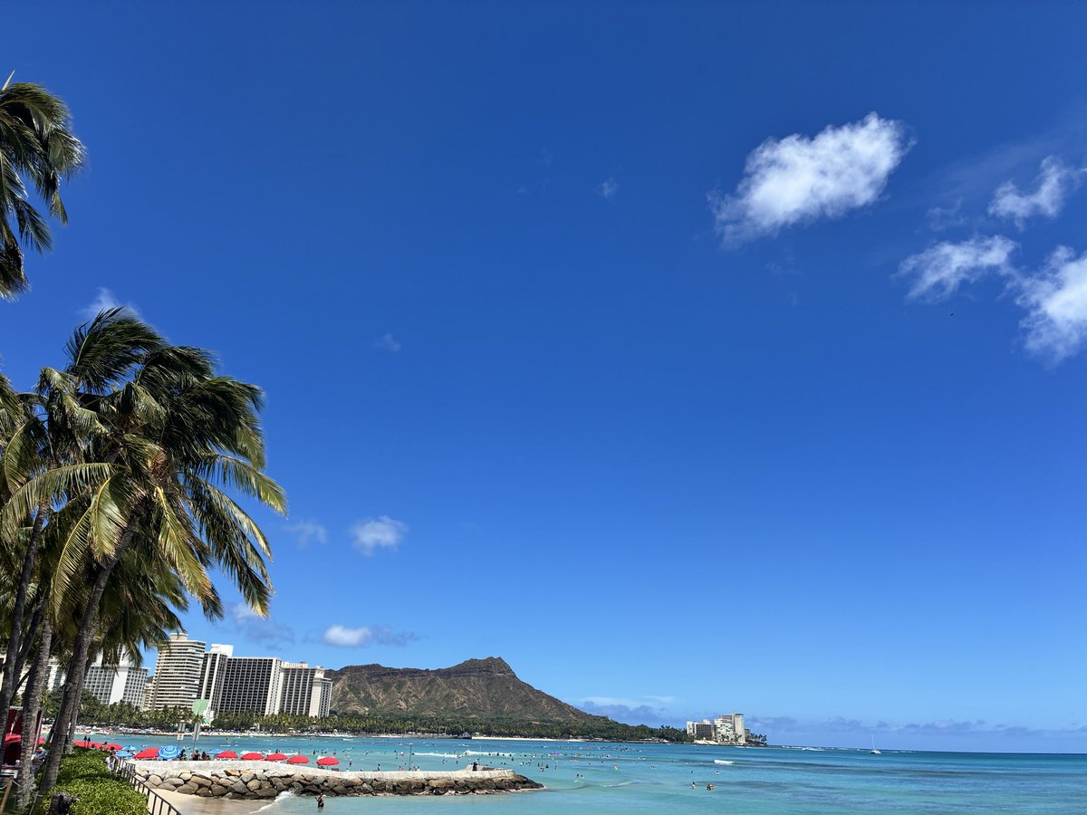 chibi_meme_cats's tweet photo. 今年も去年に続き @newt_travel でハワイへ🌴 🌺 🌊 🏖️ 🏄
日程検索も料金設定も良きなので、@newt_travel一択です👍🏻
#NEWTで行った旅行 https://t.co/WQxbHX2Mpb