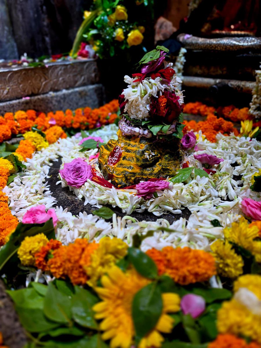 12Jyotirling's tweet photo. श्री ॐकारेश्वर ज्योतिर्लिंग मंगला आरती श्रृंगार | 17.08.2026

Shri Omkareshwar Jyotirlinga Mangala Aarti Shringar | 17.08.2026 https://t.co/1UfNwDeLN7