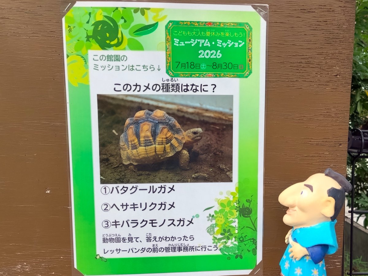 kanagawa_museum's tweet photo. 最後にご紹介するのは野毛山動物園じゃ。爬虫類館の中から、カメの種類に関するミッションを出題中じゃぞ！8月の土日は「ナイトのげやま」と銘打って、営業時間が13時～20時（入園は19:30まで）になっておるのじゃ。少し涼しくなってから動物を見に行くと動きが活発かもしれんのう！ https://t.co/ILVglKovgv