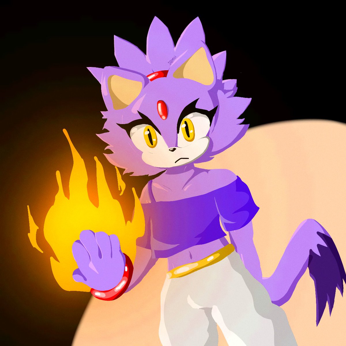 squecidnv's tweet photo. Blaze #Sonicthehedgehogㅤㅤㅤ  #sonic https://t.co/g6sJerWzCm