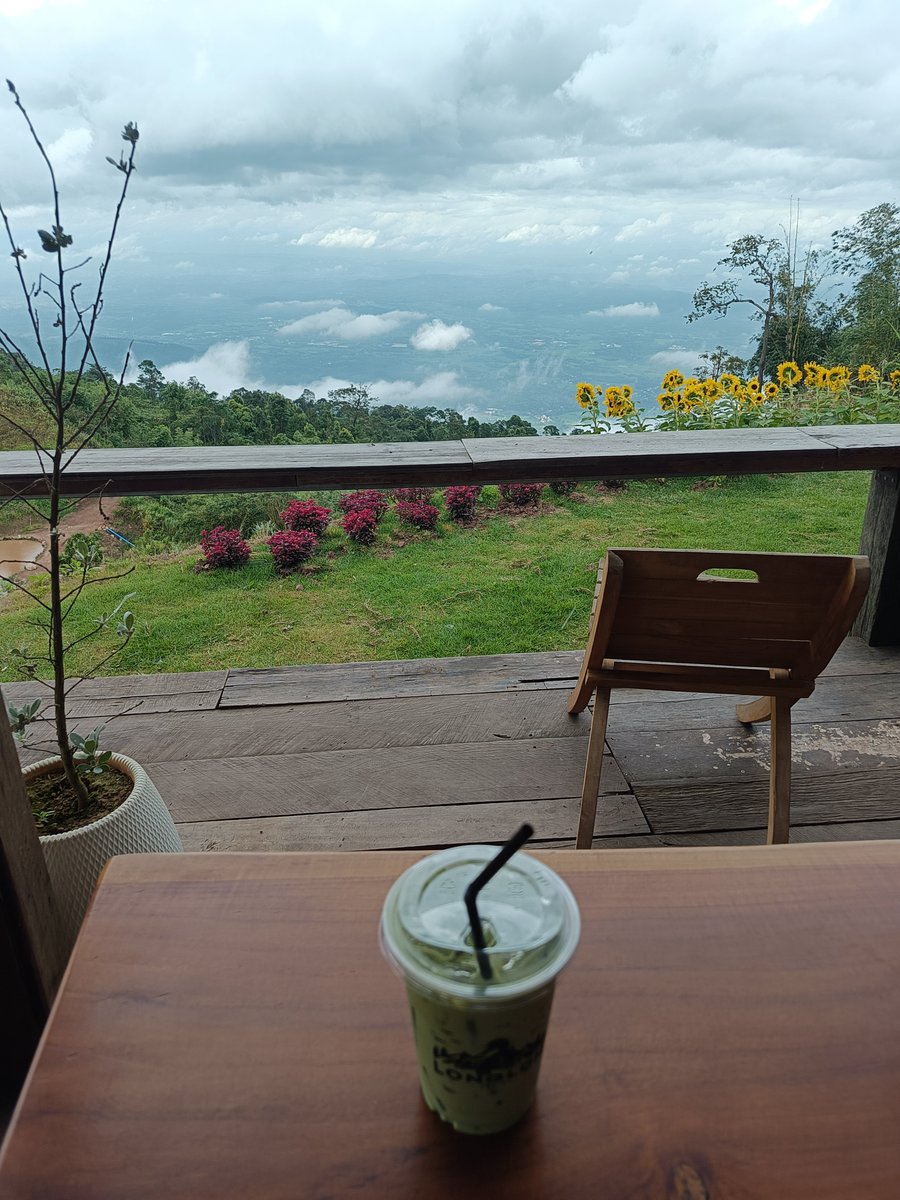 CEamlaor's tweet photo. สันหลังมังกร ภูทับเบิก https://t.co/z682Rs6Tap