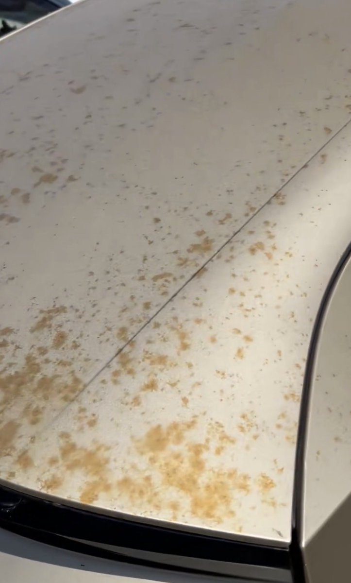 TeslaNewswire's tweet photo. Rust spotted on an earlier Tesla Cybercab prototype.

This is exactly what prototypes are built for: testing and improving the design before mass production and entry into service.

The final production version has a completely different glossy finish. https://t.co/WOsdMS7WL6