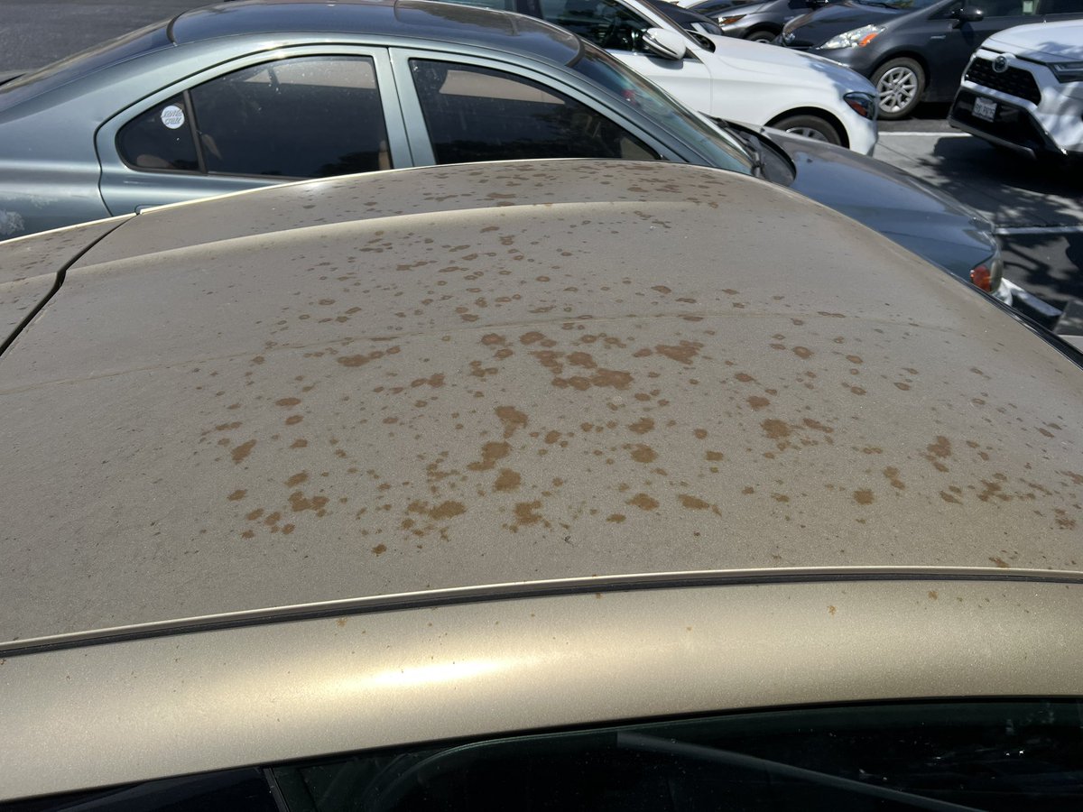 TeslaNewswire's tweet photo. Rust spotted on an earlier Tesla Cybercab prototype.

This is exactly what prototypes are built for: testing and improving the design before mass production and entry into service.

The final production version has a completely different glossy finish. https://t.co/WOsdMS7WL6
