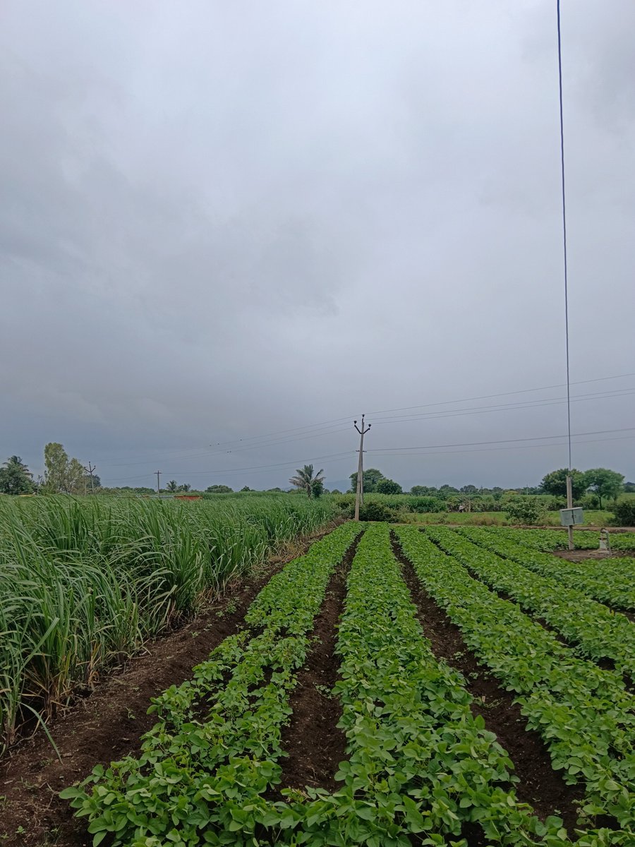 anolkhi_om's tweet photo. सुखं, समाधान आणि आंनद 
आपलं गावं, आपली माती...❤️😌🌿
#satara 
#wai https://t.co/Cjp20n9XWE