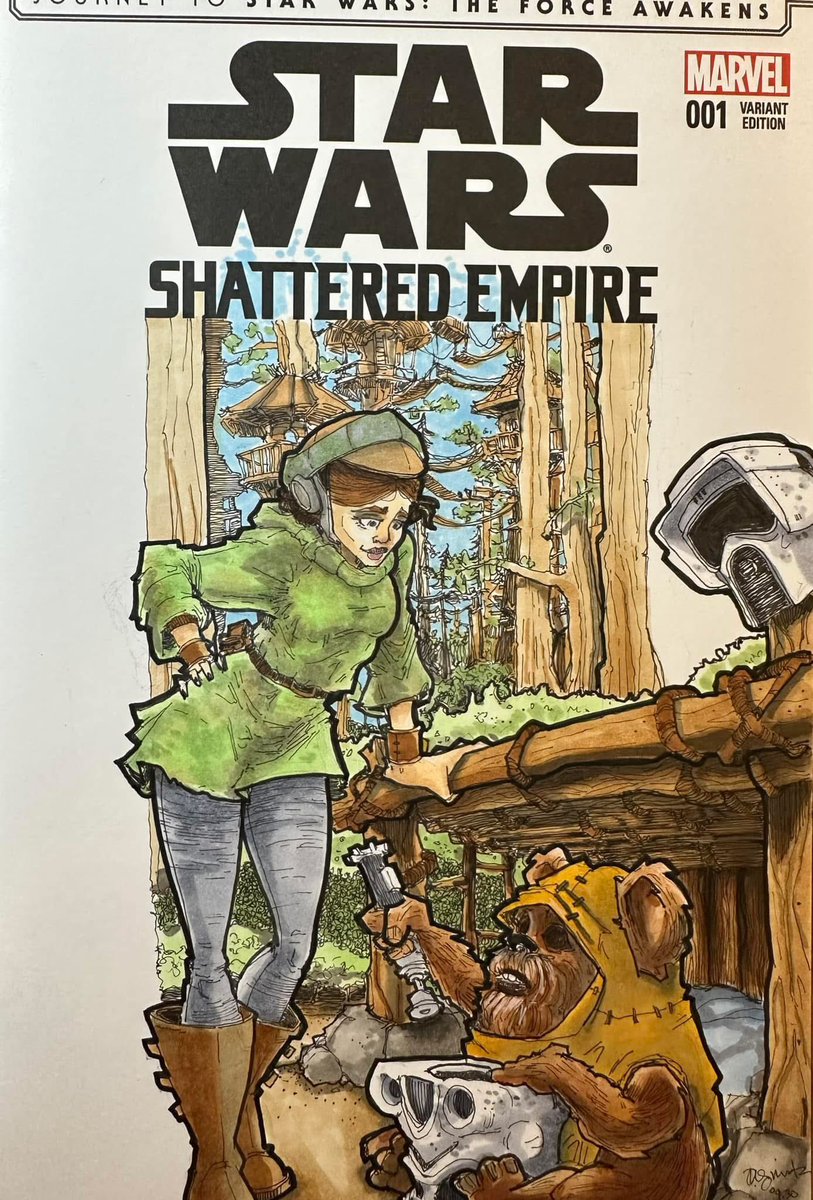 Doodlebags's tweet photo. Some old #starwars blank #comic covers I did #steampunkstarwars #princessleia #chewbacca https://t.co/9vTHLZxCgk
