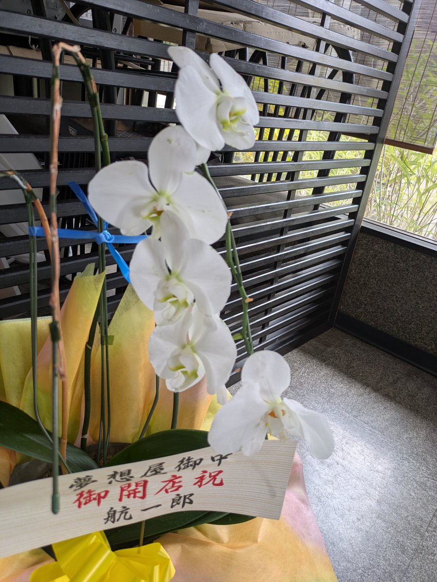 b1ON4yGmAb89149's tweet photo. こんにちは😃今日は薄曇りで少し涼しい大阪枚方。店は今日も元気に営業開始です。開店祝いに頂いた胡蝶蘭、かなり数が少なくなりましたが、まだ咲いていますよ✨日本の皆様、体調に気を付けてお過ごし下さい。学生の頃、夏と言えばヤマトの映画が楽しみだったなぁ‥ https://t.co/4KN0nbgQ0T