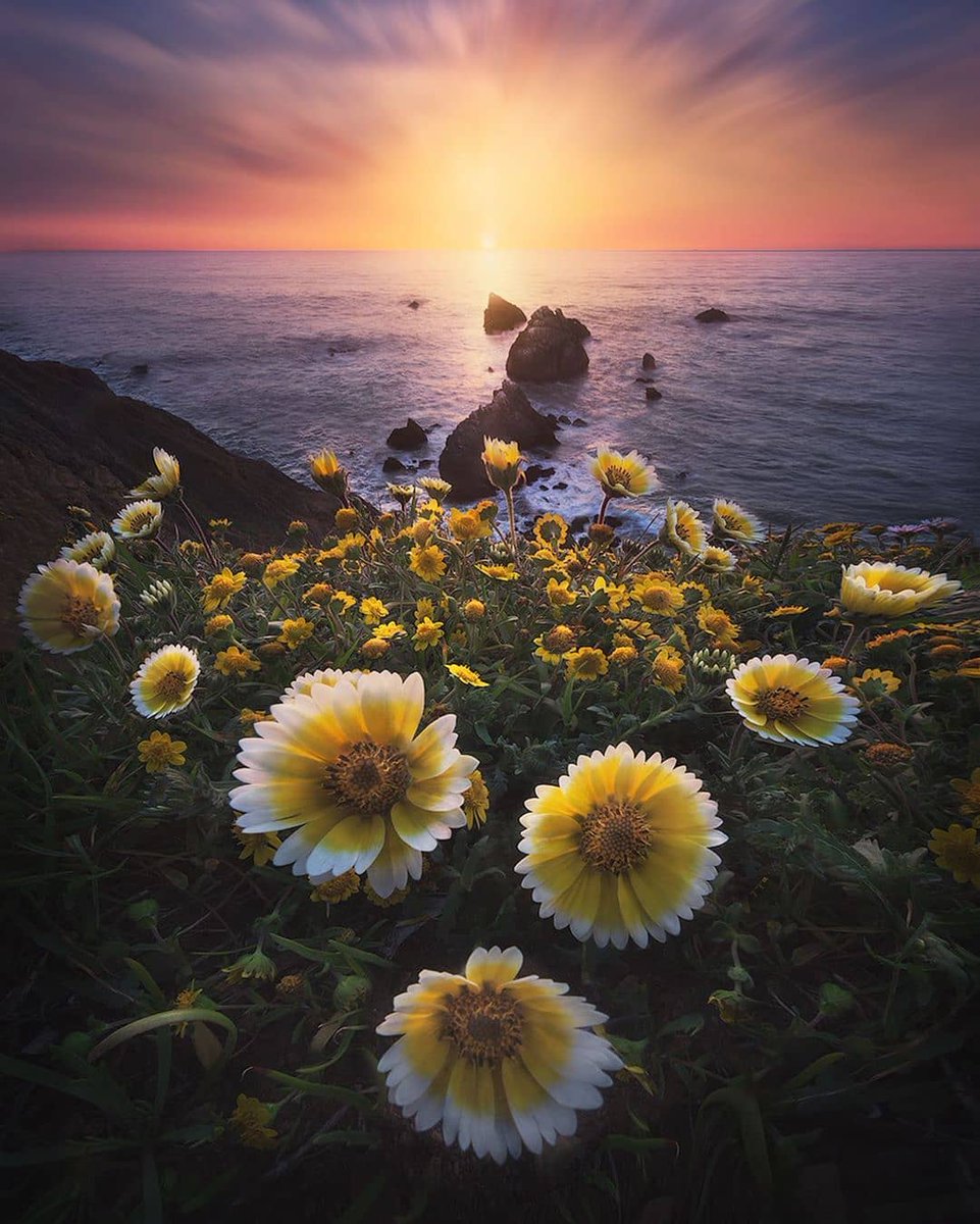 ClKimbrough's tweet photo. New to photography Start with mastering light—natural light is free, forgiving, and perfect for practicing composition. Grab your phone (no fancy gear needed!) and shoot golden hour shots for this week. https://t.co/gydBx893BC