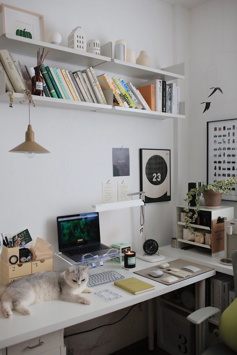 Moshi_0987's tweet photo. Transforming my desk into a cozy productivity zone  Small changes, big vibes – less clutter, more focus! https://t.co/cc14tQeXwt
