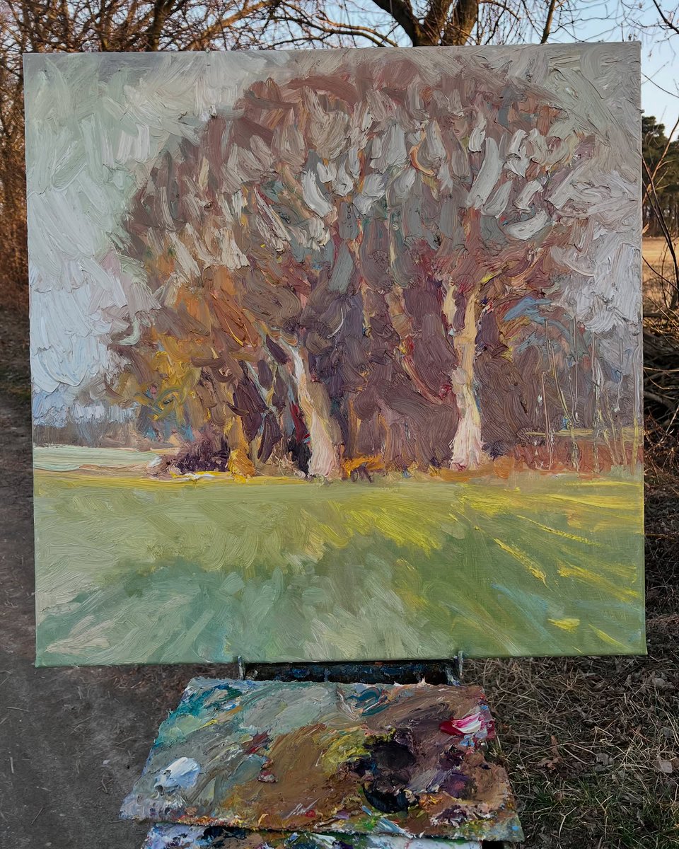 janiitha_mp20's tweet photo. Whisper of a Spring Evening” 
Oil on canvas, 80x80 cm 
Evening light melts into the treetops, shadows drift over the grass, and nature quietly awakens to new life. https://t.co/MRKnqGqE0K