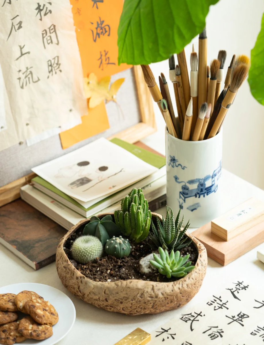 CrystalEchever1's tweet photo. Tiny desk upgrade hack: A potted succulent + a neat cable clip make workdays way more calm and productive. https://t.co/6ZeP37KmjK
