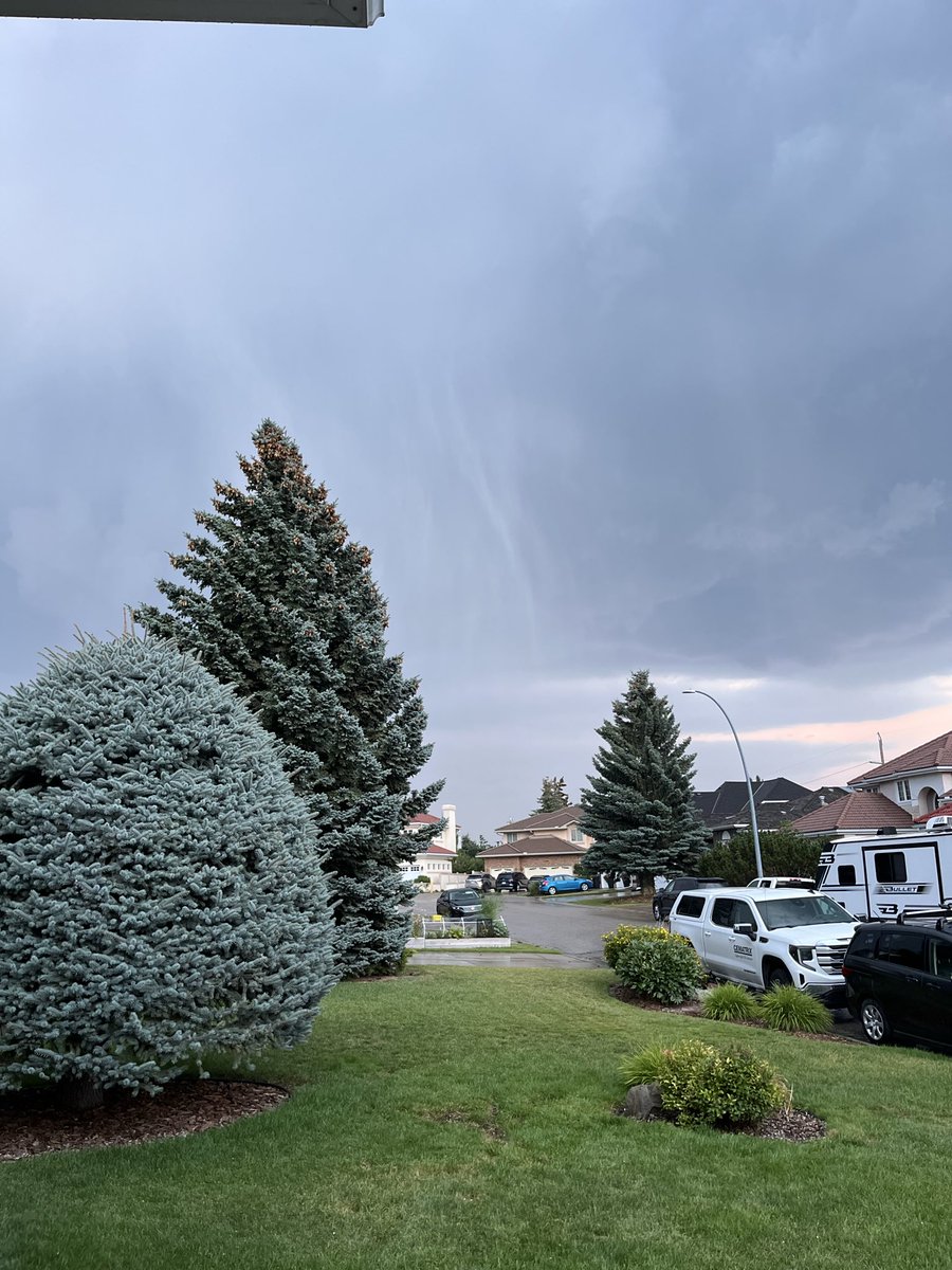 derekhyyc's tweet photo. Hail core just missed us near Crowfoot heading SE towards downtown. 1/2” hail sputtered onto the lawn. #abstorm https://t.co/RGdsOWOG3X
