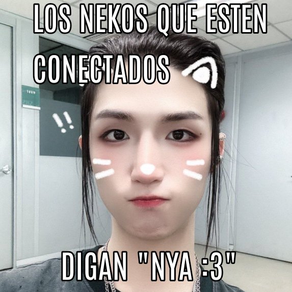 LuzuraNoce10410's tweet photo. Los nekos que esten conectados digan "nya :3" JAJAJJA https://t.co/NV46QmCuus