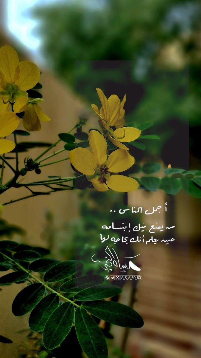 JasimSaraa's tweet photo. وأجمل الناس من يصنع فيك ابتسامة حين يعلم أنك بحاجة لها

#صباح_الخيـر https://t.co/EEXtgVRlWI