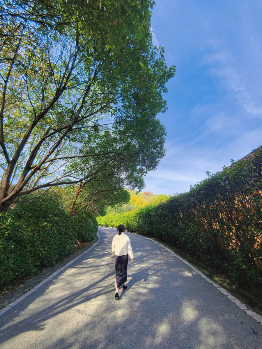 dan0gerzone's tweet photo. Taking 10-minute brisk walks daily boosts metabolism and improves mood—small steps lead to big health wins!， https://t.co/LOGoVv5Zwa