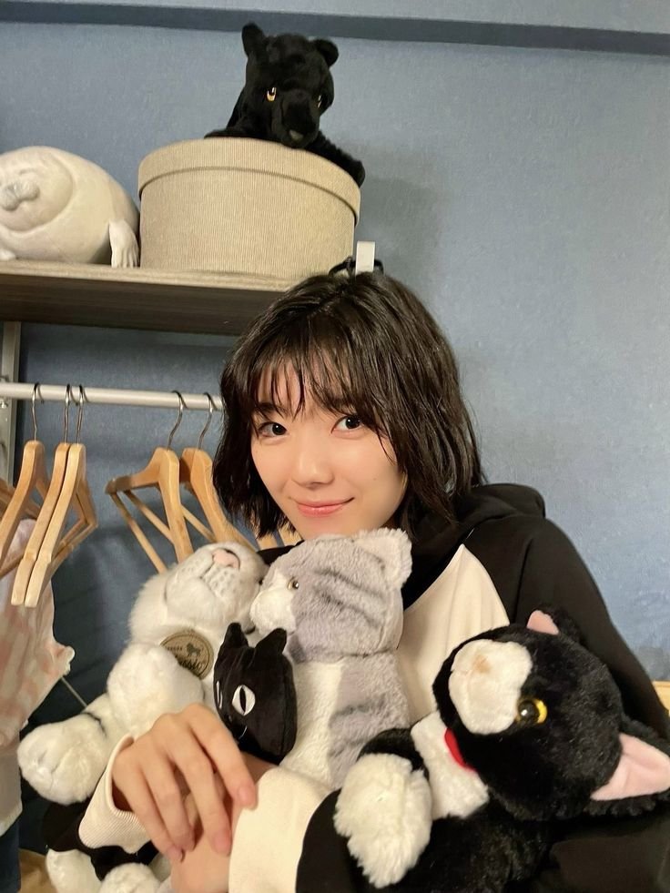 katamiraiwo's tweet photo. https://t.co/SwaulCUAzS