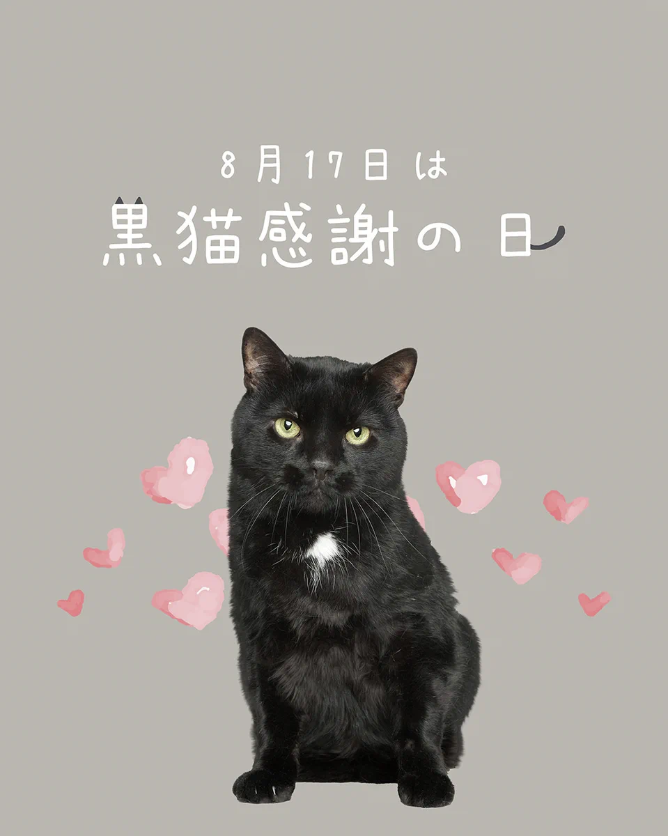 黒猫（感謝） 森乳サンワールド公式（森永乳業グループ） on X: 