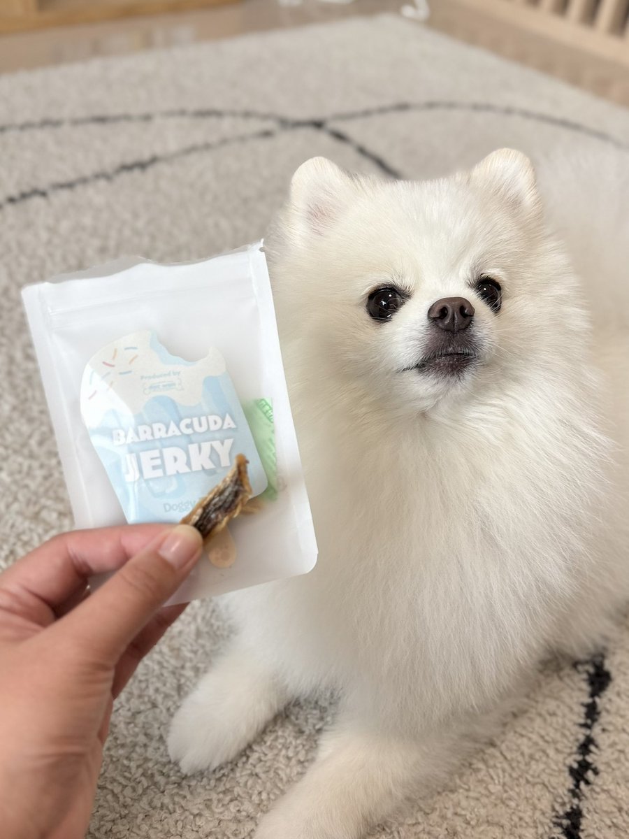 pome_tenkun's tweet photo. うまうまおやつ達🐻‍❄️✨
今月はカマス、牛もも、馬肉のジャーキーが入ってました！
doggy boxさんのおやつは小分けパックなのが嬉しい☺️
#doggybox #pr https://t.co/xaq7i7moll