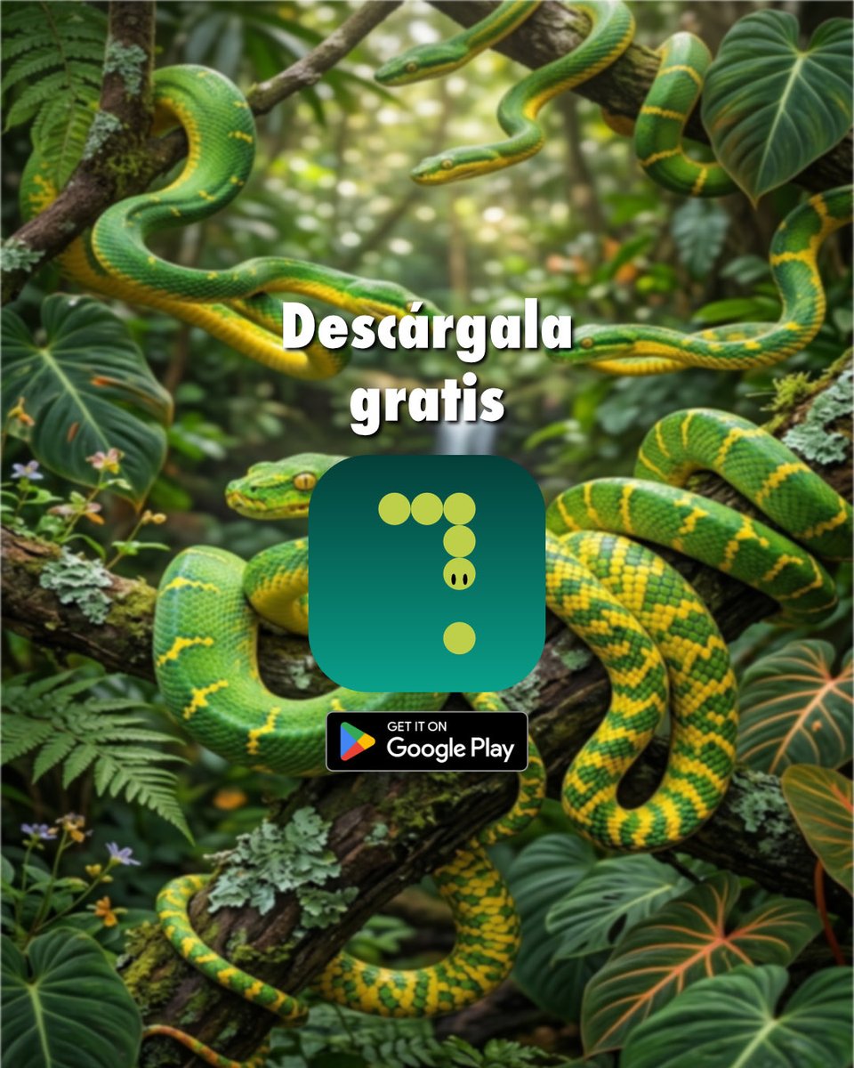 timetoapps's tweet photo. 🐍 ¡El JUEGO que DEFINIÓ una generación regresa para volarte la cabeza! 🤯 
Descarga GRATIS Snake Classic App y compruébalo: https://t.co/G5ZJ62HyNa 

#videojuego #videojuegos #snakeclassic #app #apps #game #México #Brasil https://t.co/PSUhlPCAav