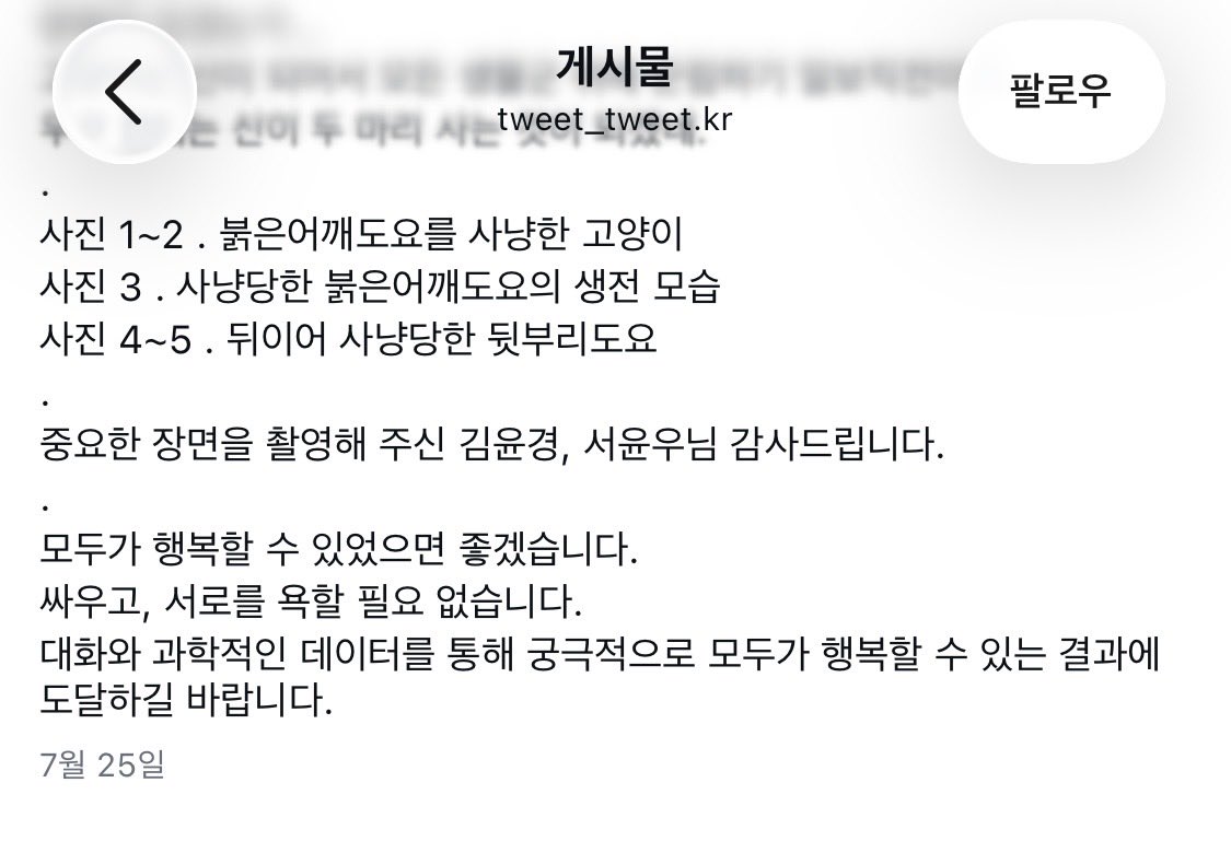 coupangwoopa's tweet photo. 같이 출연하는 분도 문제가 많네요. 지들이 주장하는 유희로써의 사냥도 아니고, 비쩍 마른 고양이가 먹이활동을 위해 새 사냥을 한걸 비난하네요. 자연스러운 생태계 모습아닌가요? 그걸보고 고양이가 신으로 군림하기 일보직전이라며 인스타질ㅎㅎ 배부르면 굳이 잡기도 힘든 새 안잡겠구만 ‘도륙‘ 당하는거 찍고만 있는게 참 ㅎㅎㅎ 사진에 대한 열정이 대단하시다